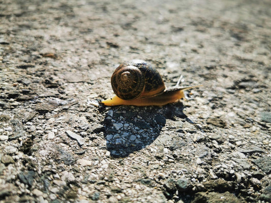 Langsame Fortschritte in der Sprachtherapie? Darum ist das völlig normal - TherAkademie